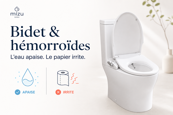 Bidet et hémorroïdes : pourquoi l'eau soulage (et le papier aggrave)