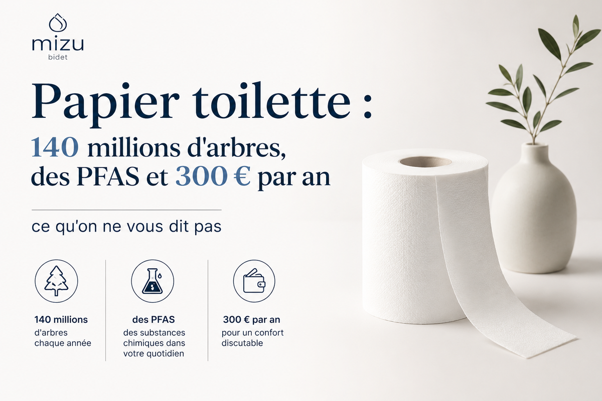 Papier toilette : 140 millions d'arbres, des PFAS et 300 € par an — ce qu'on ne vous dit pas
